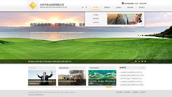 網(wǎng)思中國 高端網(wǎng)站定制與建設維護的行業(yè)典范